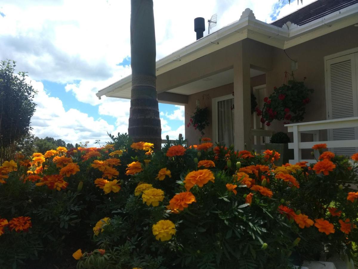 Casa Zanata Daire Gramado Dış mekan fotoğraf